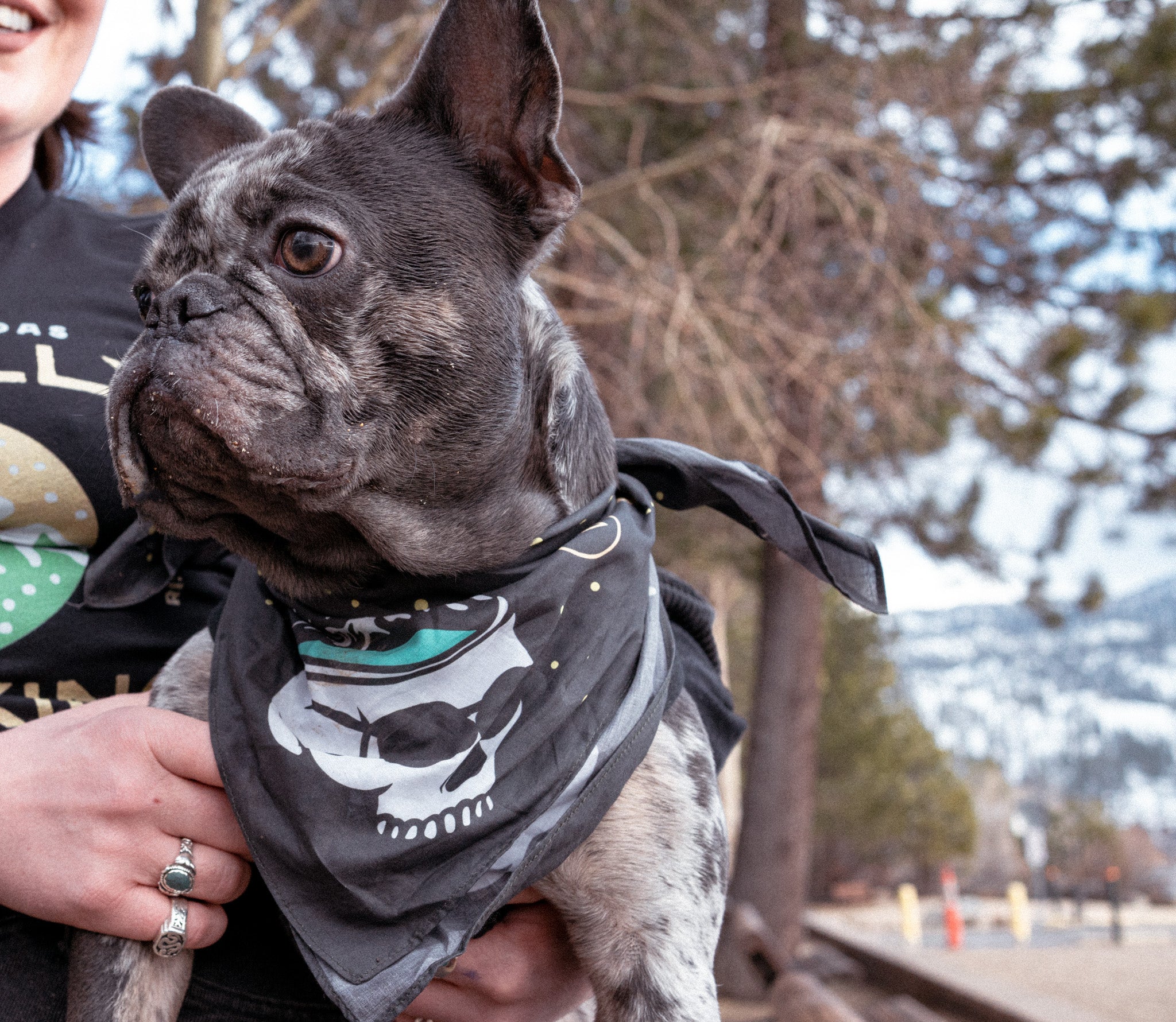 Tahoe Bandana